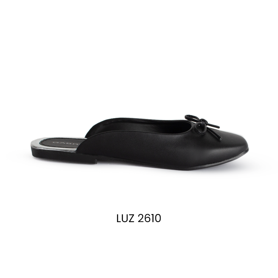 LUZ 2610