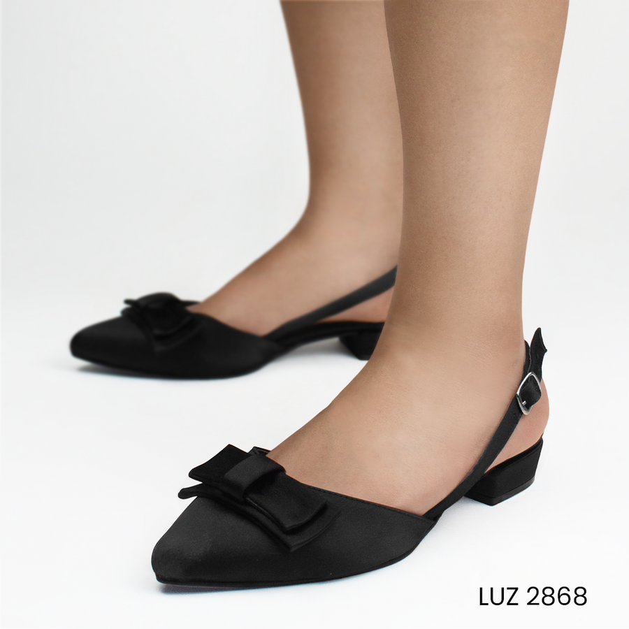 LUZ 2868